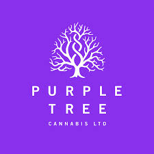 Purple Tree - Toronto Dispensary