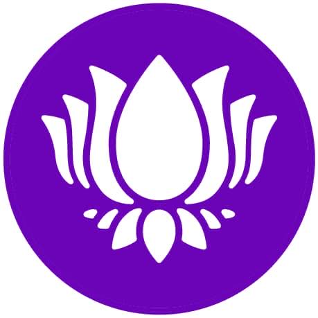 Purple  Lotus
